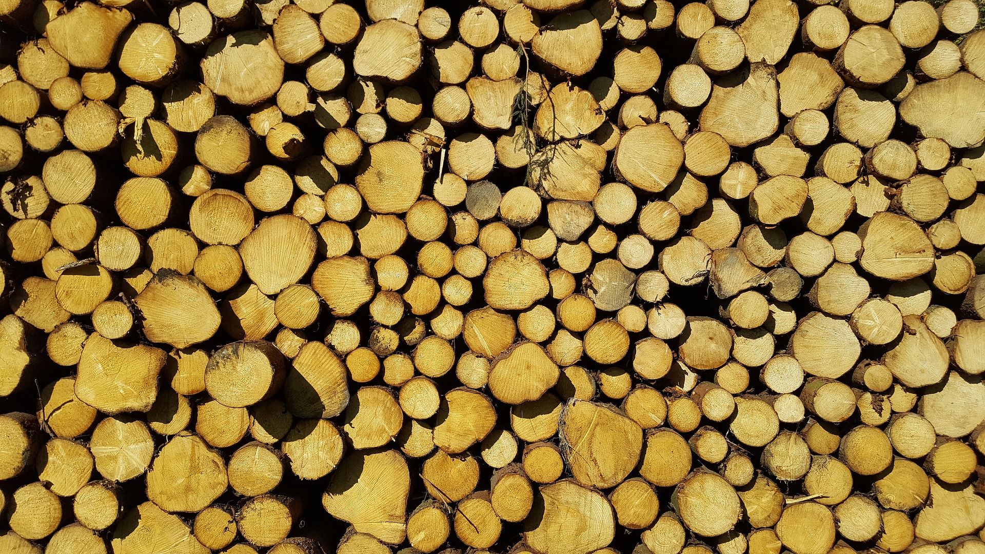 timber-harvesting-2860803_1920